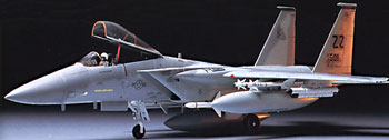 TAM61029 1/48 McDonnell Douglas F15C Eagle