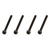 ARA702004  Cap Head Screw M2.5x25mm (4)