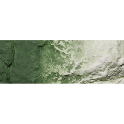 WS EARTH COLORS GREEN UNDERCOAT (Part # C1228)